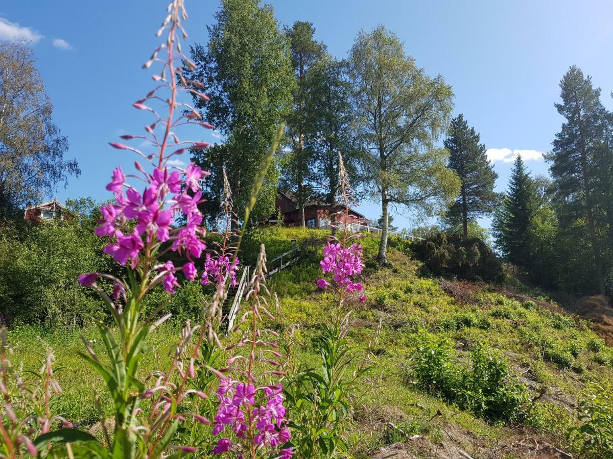 Bjoernforsens Turist & Konferenshotell, Naera Husum, Oernskoeldsvik Bjorna Ngoại thất bức ảnh